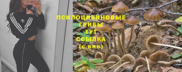 круглые Белокуриха