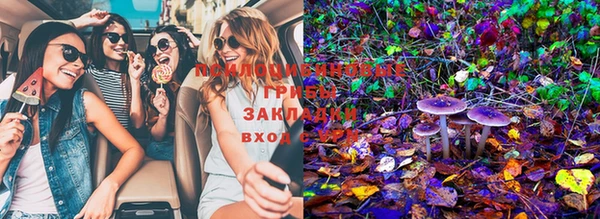 круглые Белокуриха