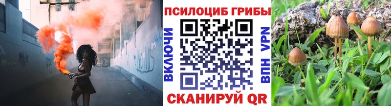 Галлюциногенные грибы мицелий  blacksprut вход  Подпорожье 